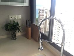 Mandarin Gardens (D15), Condominium #607344951